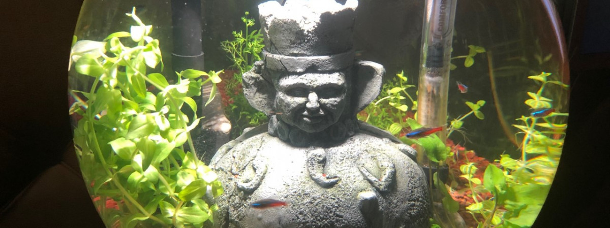 aquarium Salon