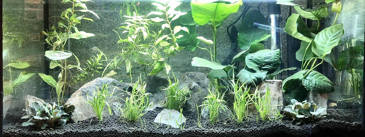 aquarium Bac Atelier