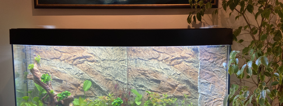 aquarium Vision 260
