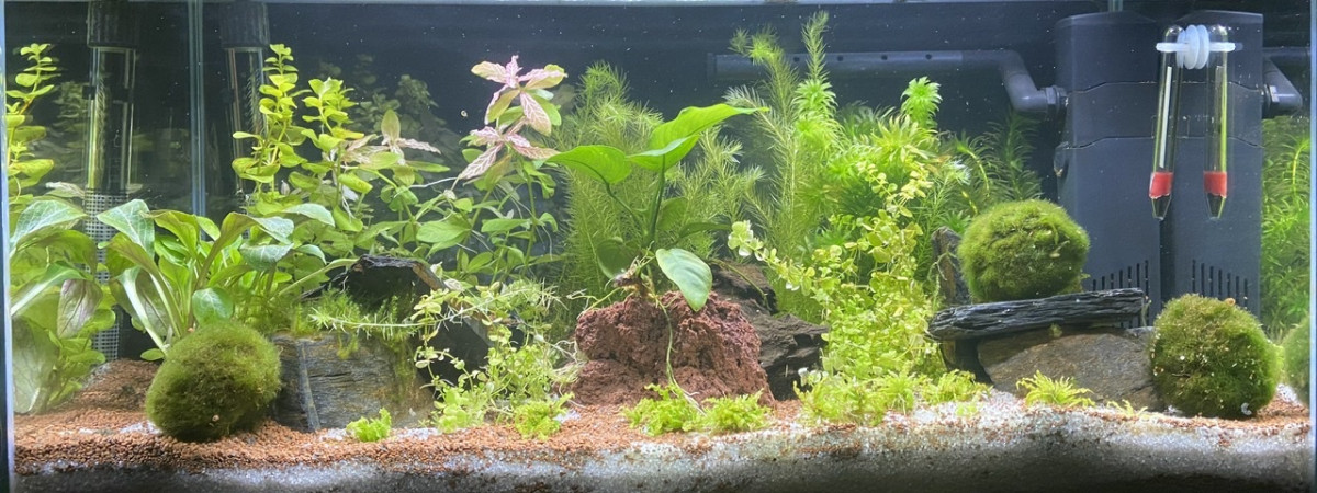aquarium Monde de Noune