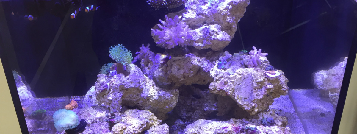 aquarium Nano Max Redsea