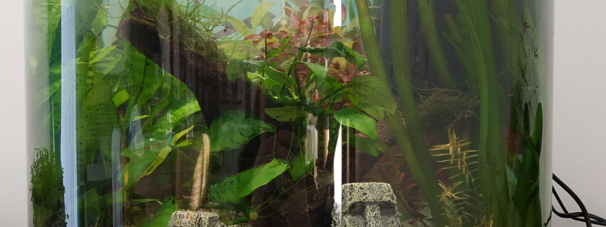 aquarium Tetra AquaArt 60 l