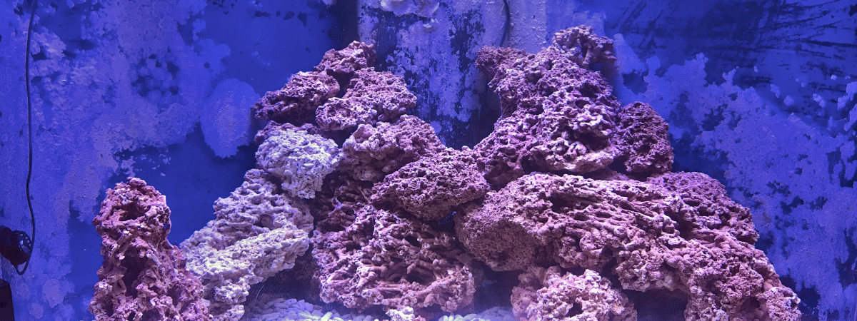 aquarium récifal 360l