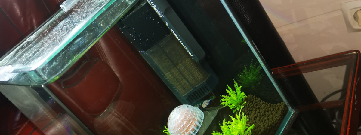 aquarium Nano 1