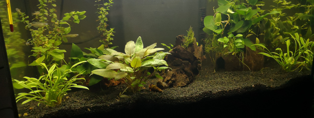 aquarium Aqua60