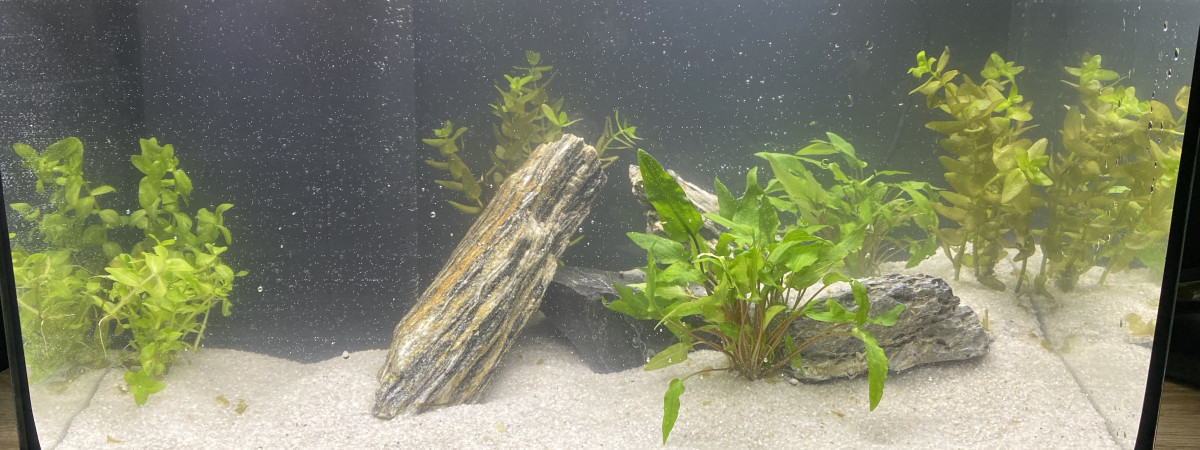 aquarium 40 L