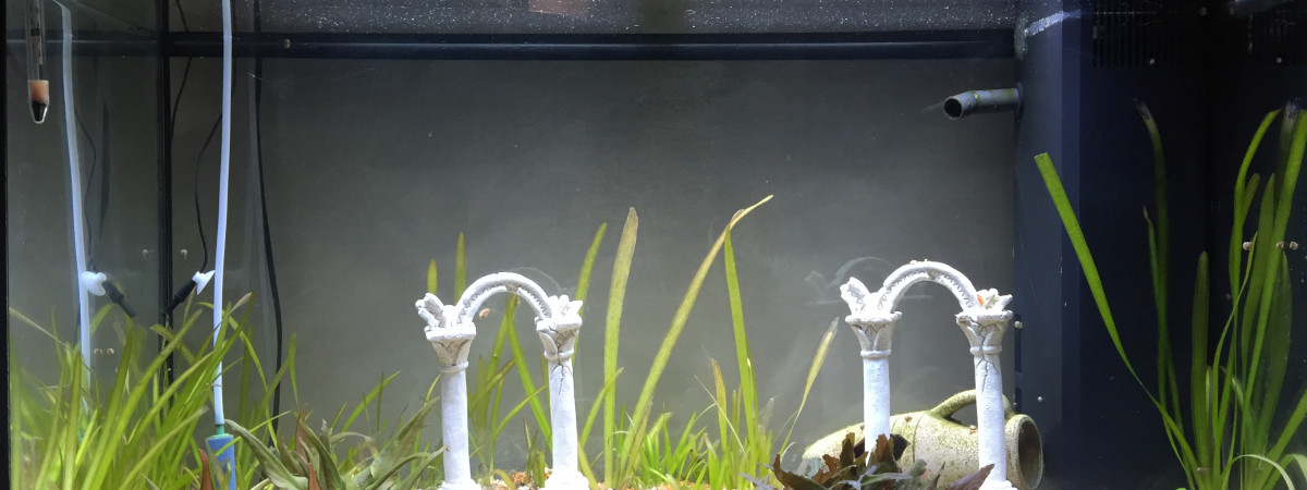 aquarium Rio 125