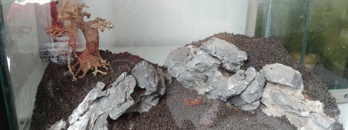 aquarium Diorama