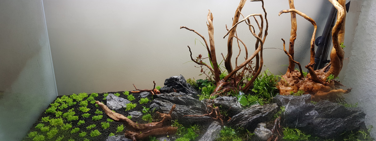 aquarium Aquarom
