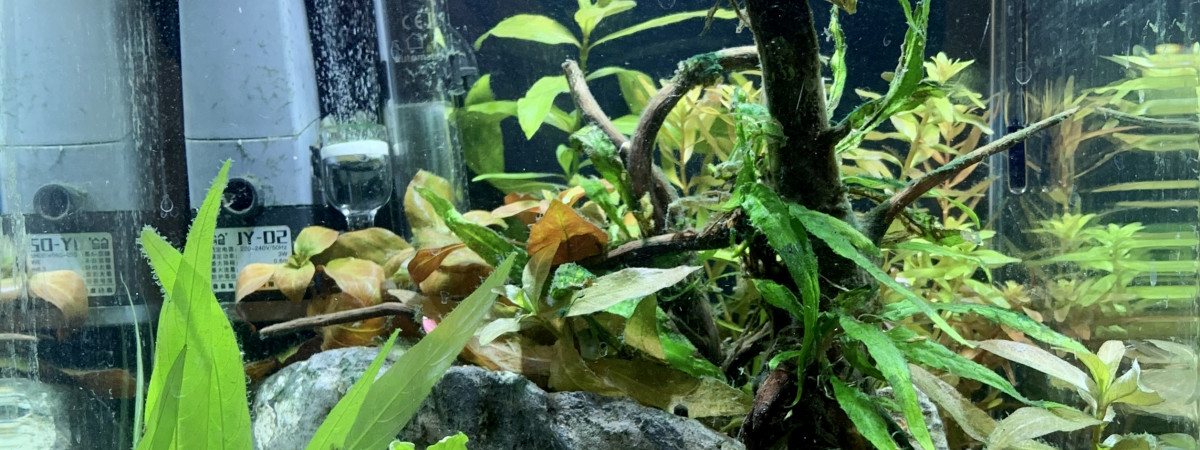 aquarium Bureau