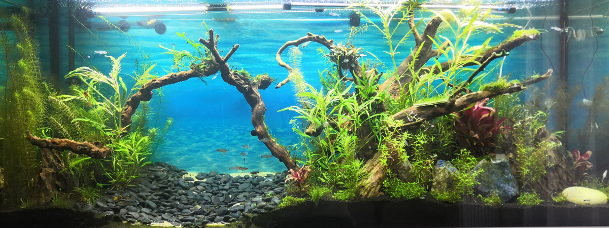 aquarium Juwel 450