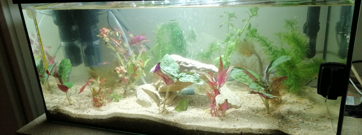 aquarium aqua60
