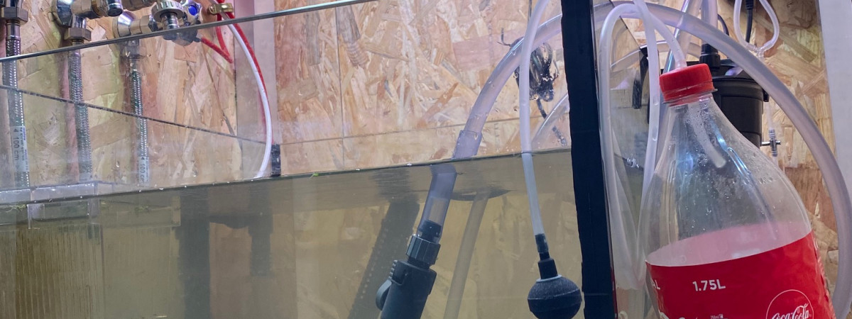 aquarium bac hopital