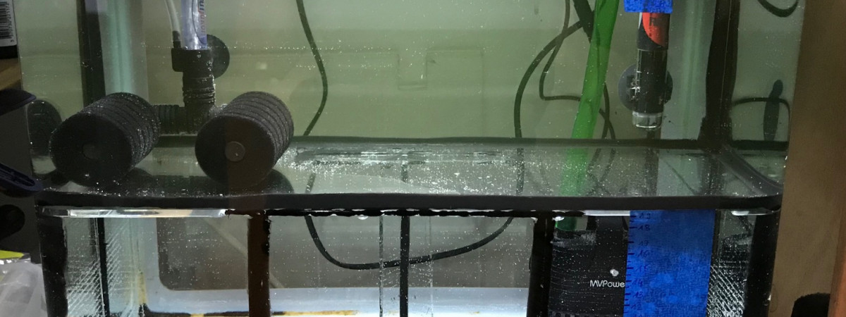 aquarium Repro