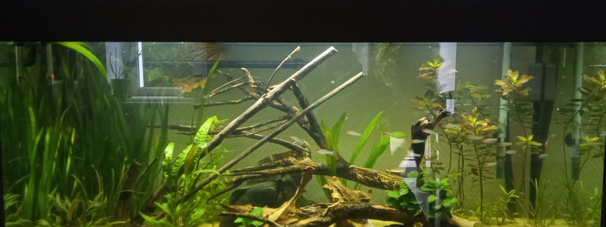 aquarium Juwel réparé après une grosse fuite