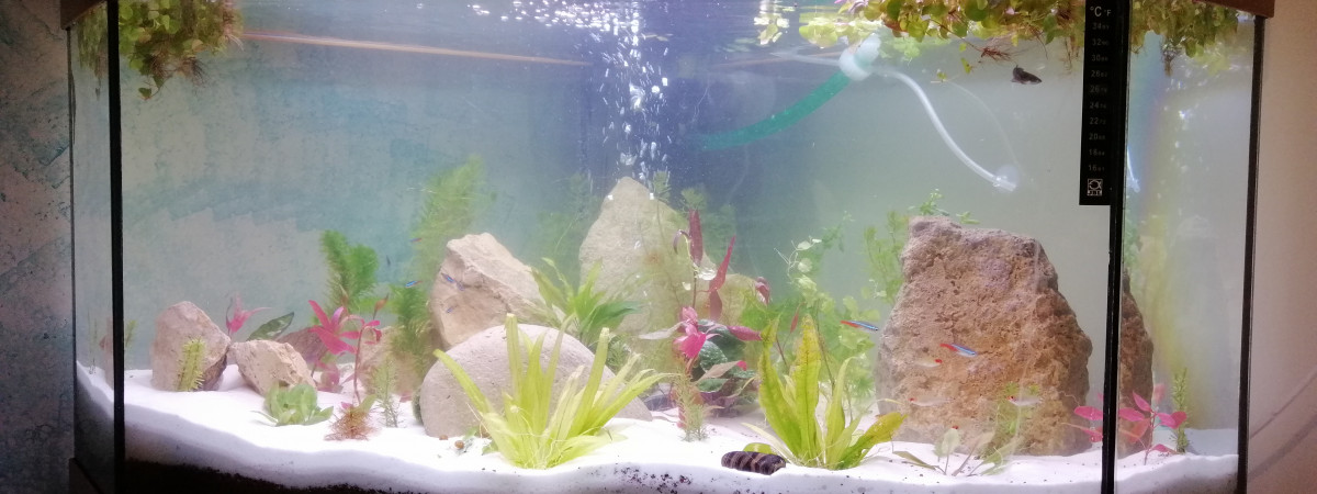 aquarium aqua 200
