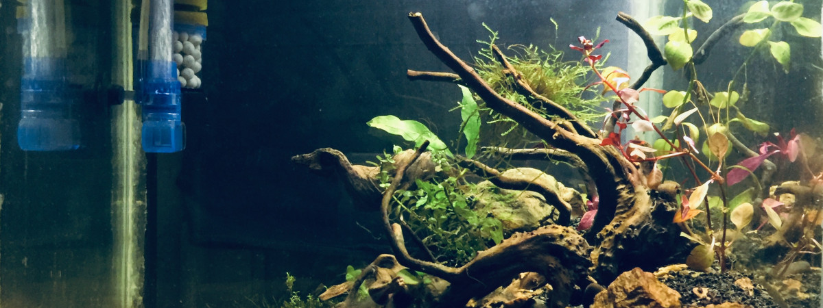 aquarium Na Style 2