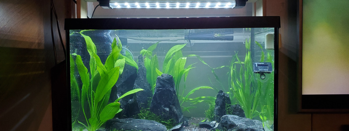 aquarium 60l