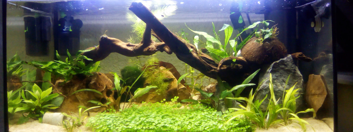 aquarium 54 litres