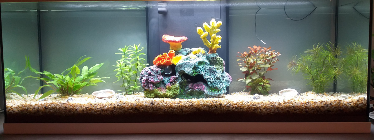 aquarium aquabest