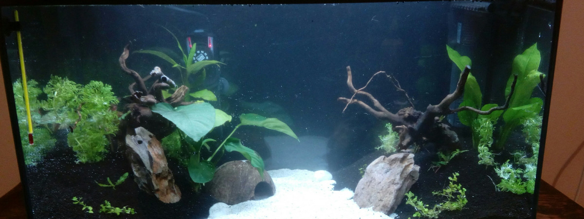 aquarium 60L