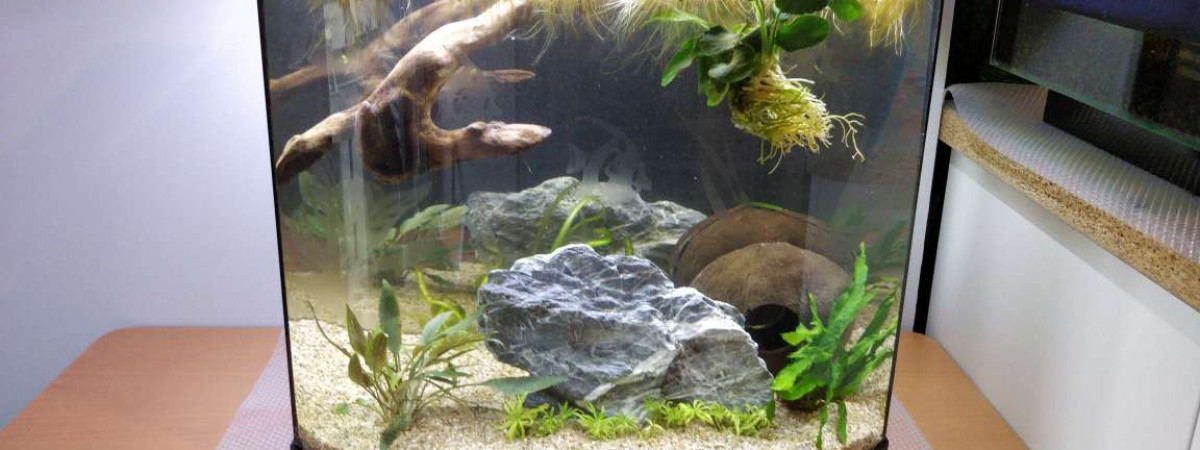 aquarium Bac 30L