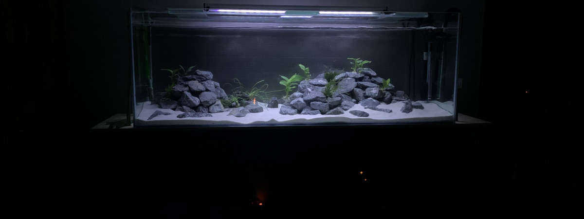 aquarium Malawi 840