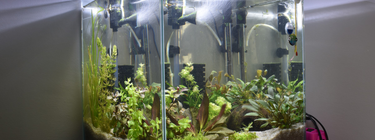 aquarium 54L cubique