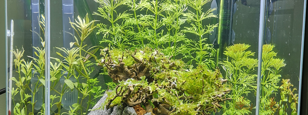 aquarium Bac 25l