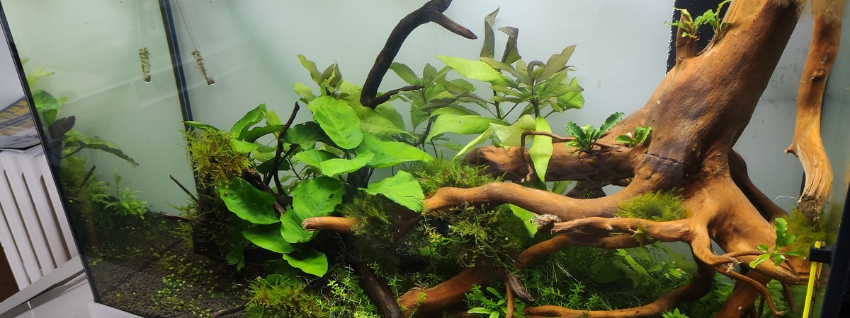 aquarium 140l indéterminé 08-19