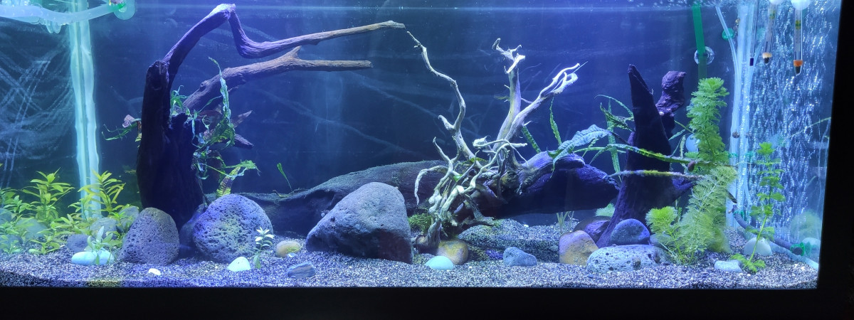 aquarium Terrasse 250