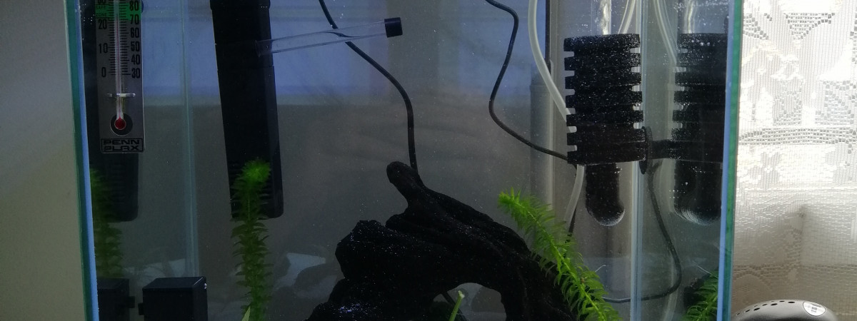 aquarium Crecre 26