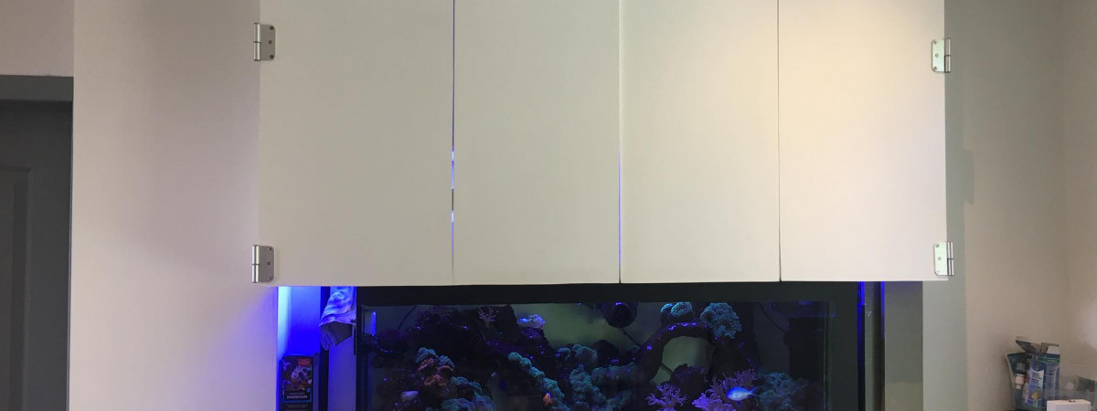 aquarium Aquarium