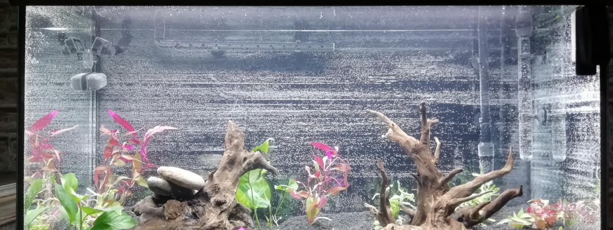 aquarium aquatlantis fusion 100