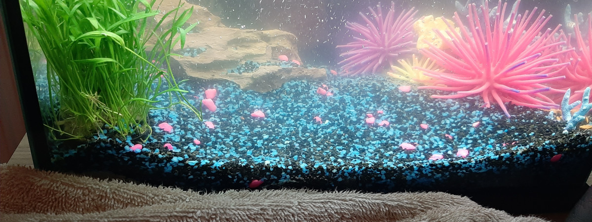 aquarium Bac 30L