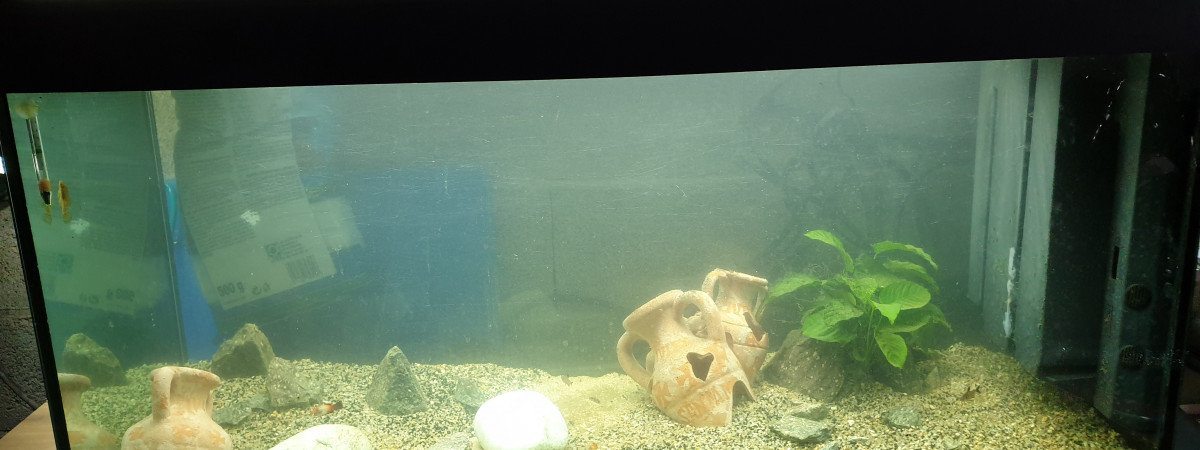 aquarium 350 poubelle