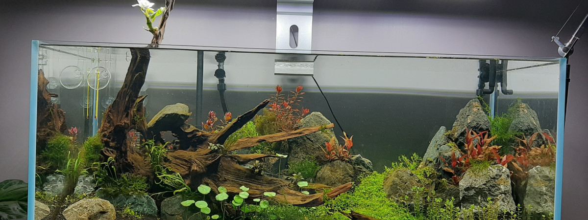 aquarium 300L
