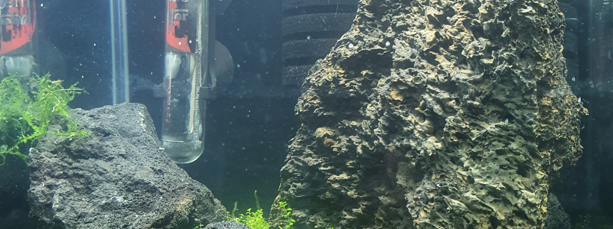 aquarium Nano 20L Redcherry