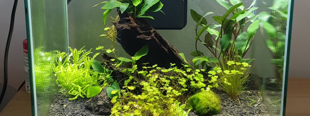 aquarium Mon premier Nano  30L