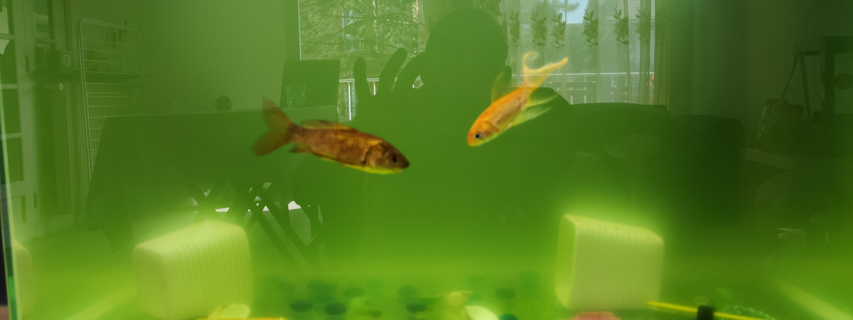 aquarium Vénicia