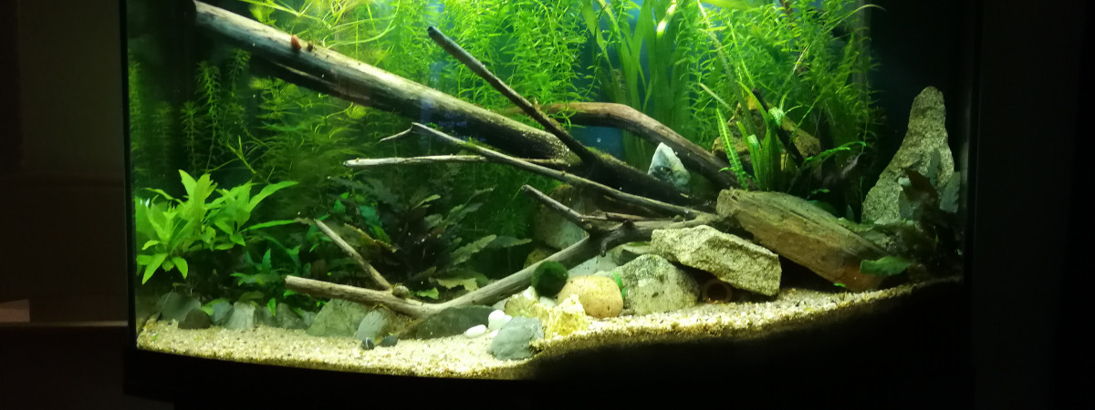 aquarium Vision 180