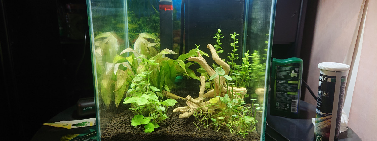 aquarium SARAWAK CITY AQUA 25