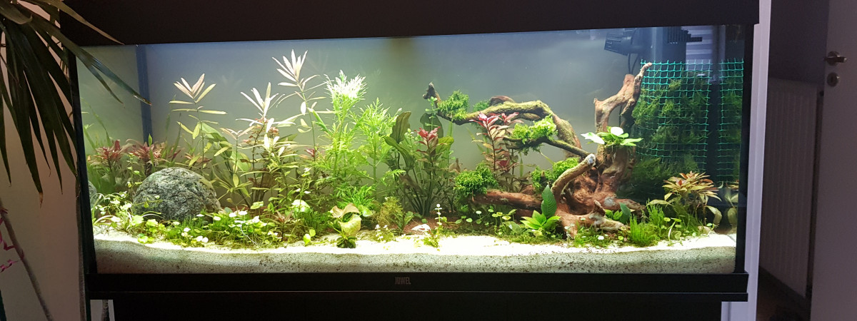aquarium bac 2