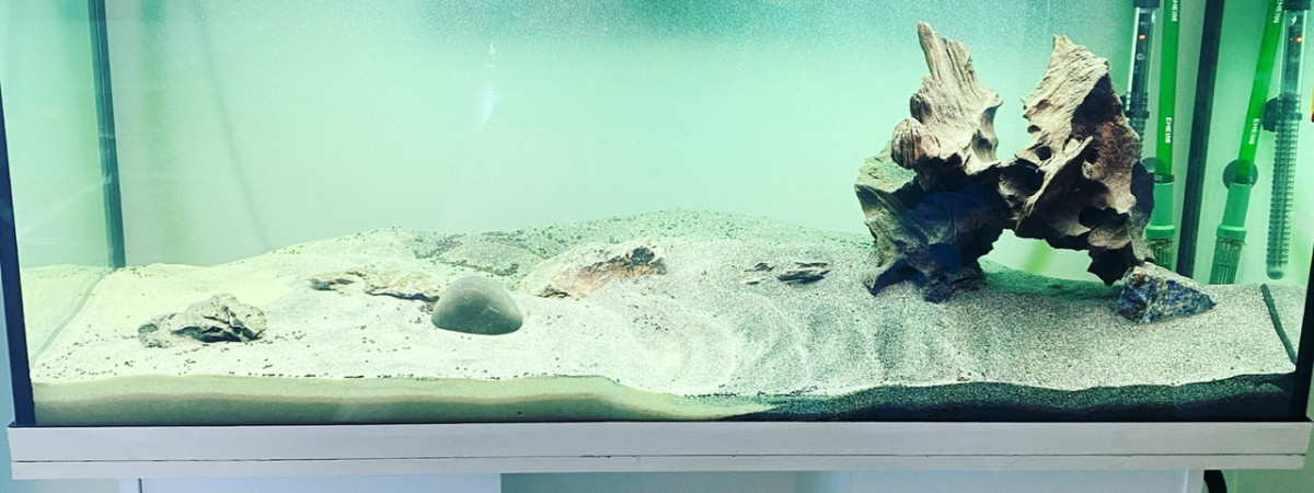 aquarium juwel 240