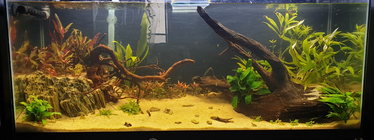 aquarium 130L
