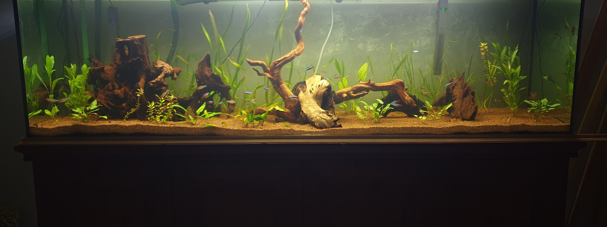 aquarium Aqua 600l
