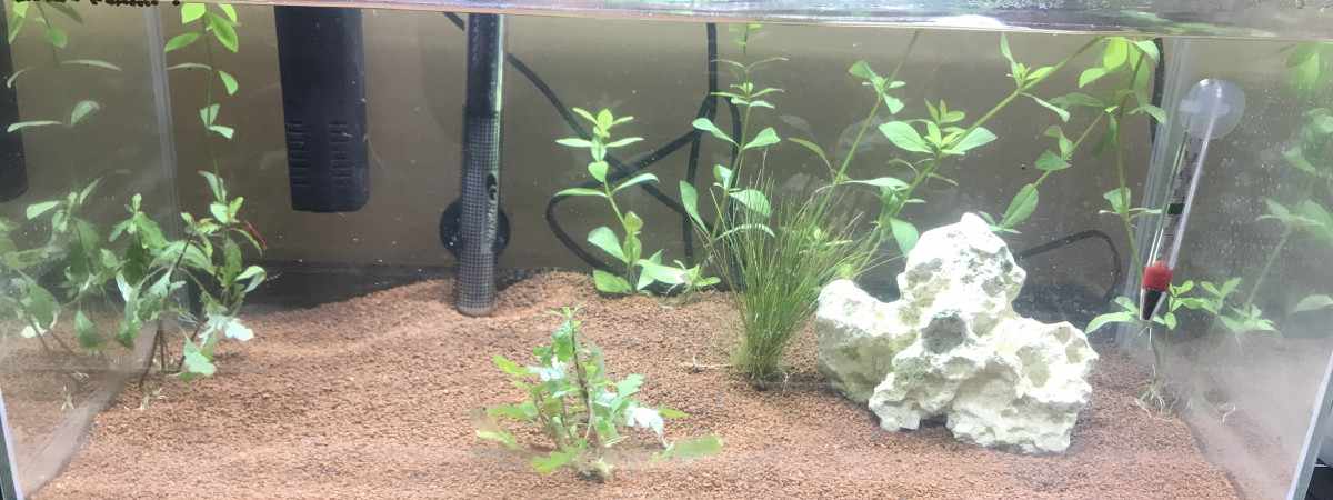 aquarium Premier