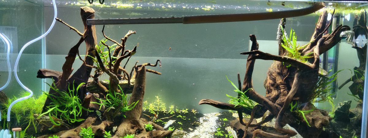 aquarium Aquarium communautaire