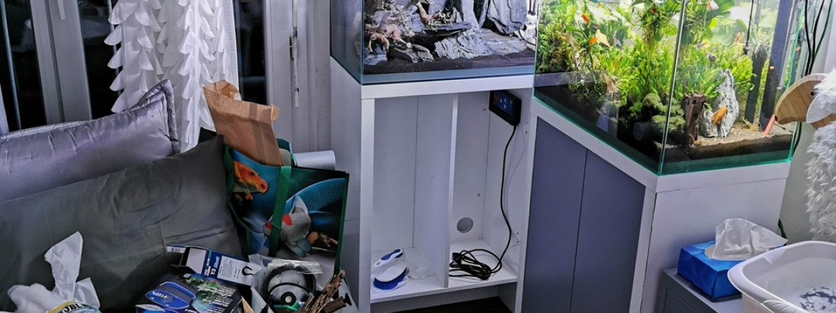 aquarium Mes bac