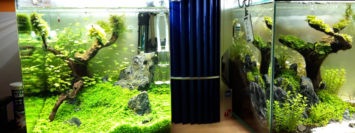 aquarium Nano